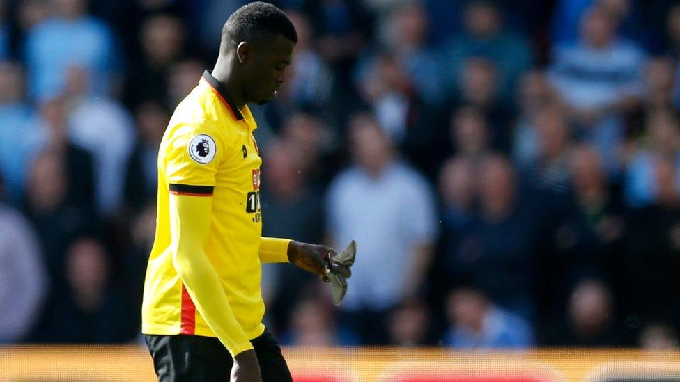 Watford's M'Baye Niang picks up a bird on the pitch during the Premier League match against Manchester City.