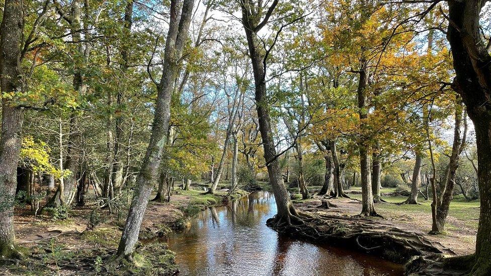 MONDAY - Ober Water stream