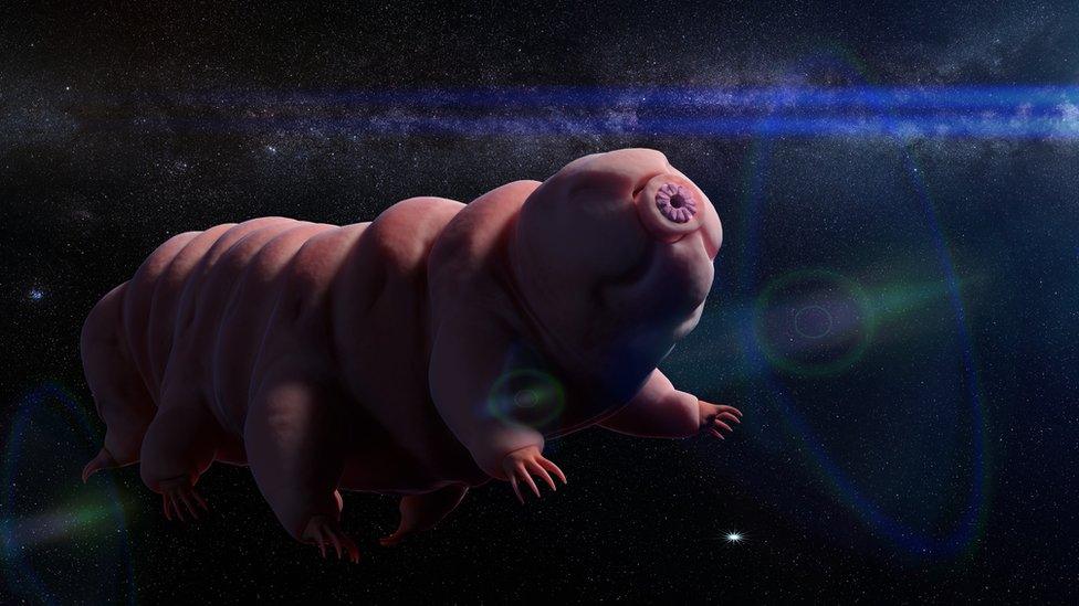 CGI image of a Taligrade floating in space