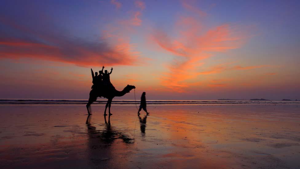 Camel riders enjoying the safari. 2010