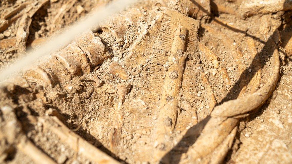 A old comb buried in dirt next to a part of a skeleton