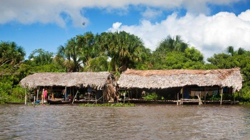 Warao Indian hatched-roof huts built upon stilts, Delta Amacuro, Orinoco Delta, Venezuela, South America