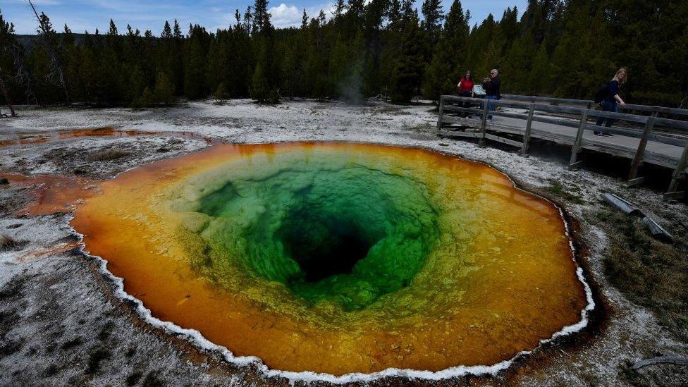 yellowstone national park