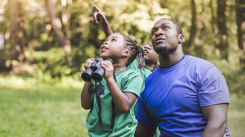 bird-watchers.