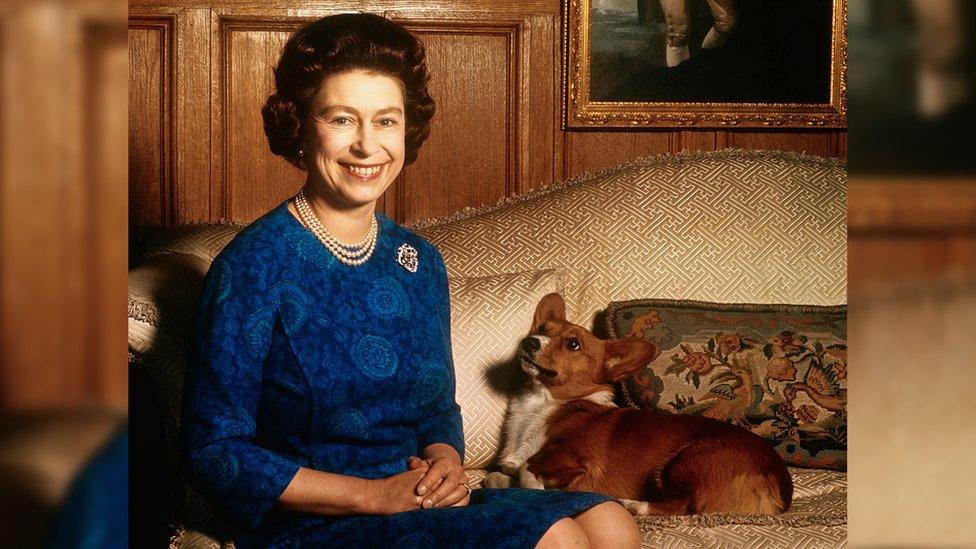 The Queen with one of her corgis in 1970.