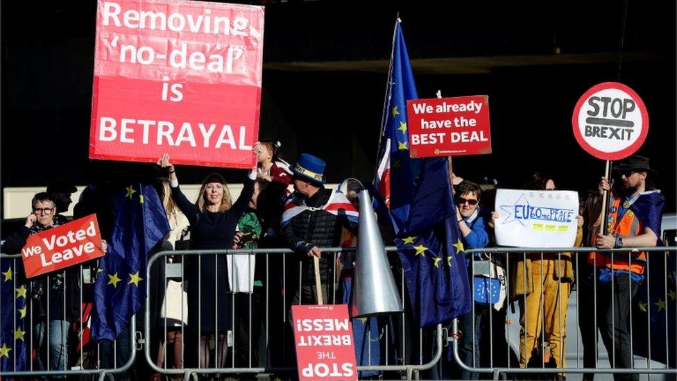 Brexit protestors