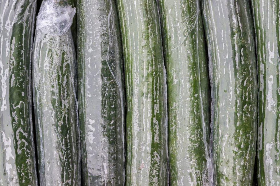 Shrink-wrapped cucumber