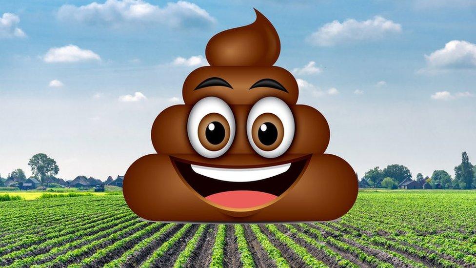 A poo emoji sat on crops