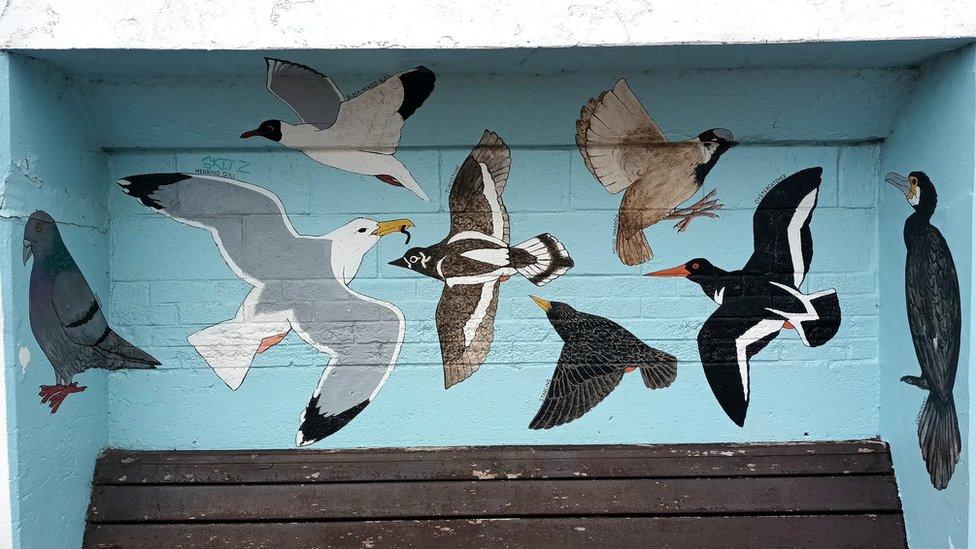 A mural of seabirds, which includes a herring gull, on the Hastings seafront