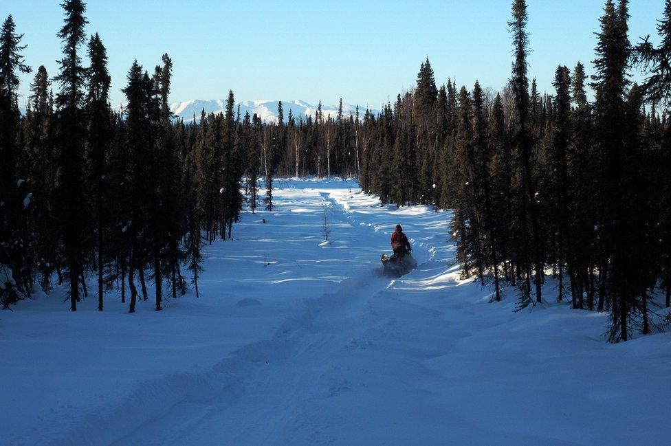 The snow mobile moves through the trees