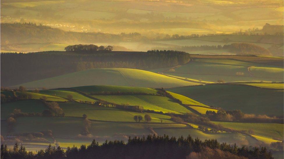 Dartmoor