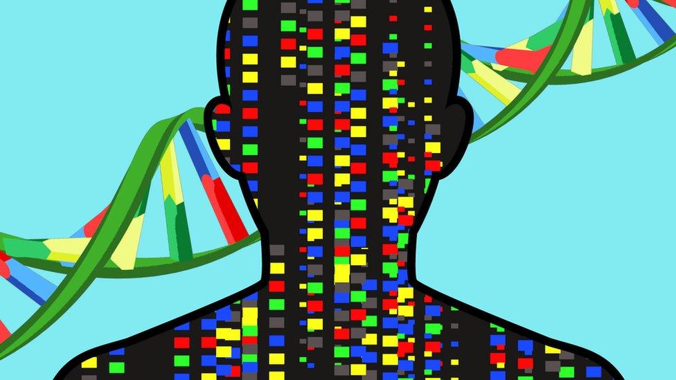 brain and dna double helix