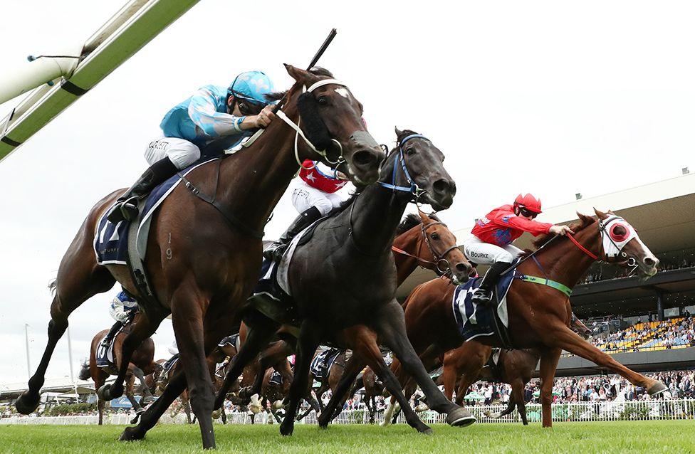 Jason Collett riding Inferencia win Race 1 Midway at Sydney Racing, Rosehill Gardens, on 22 March.