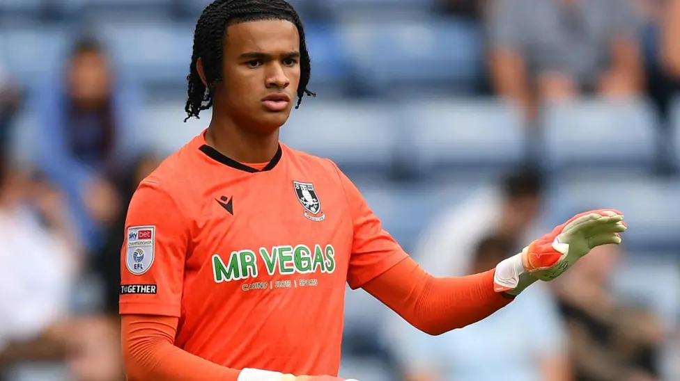 Sheffield Wednesday get the green light to sign a goalkeeper on an emergency loan in light of Pierce Charles's injury 