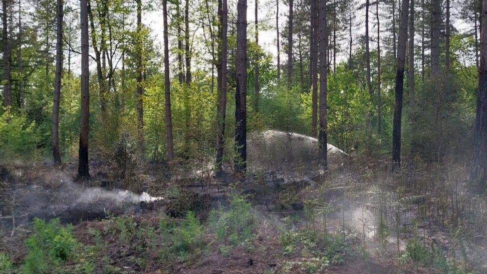 Smoke seen rising from the forest floor.