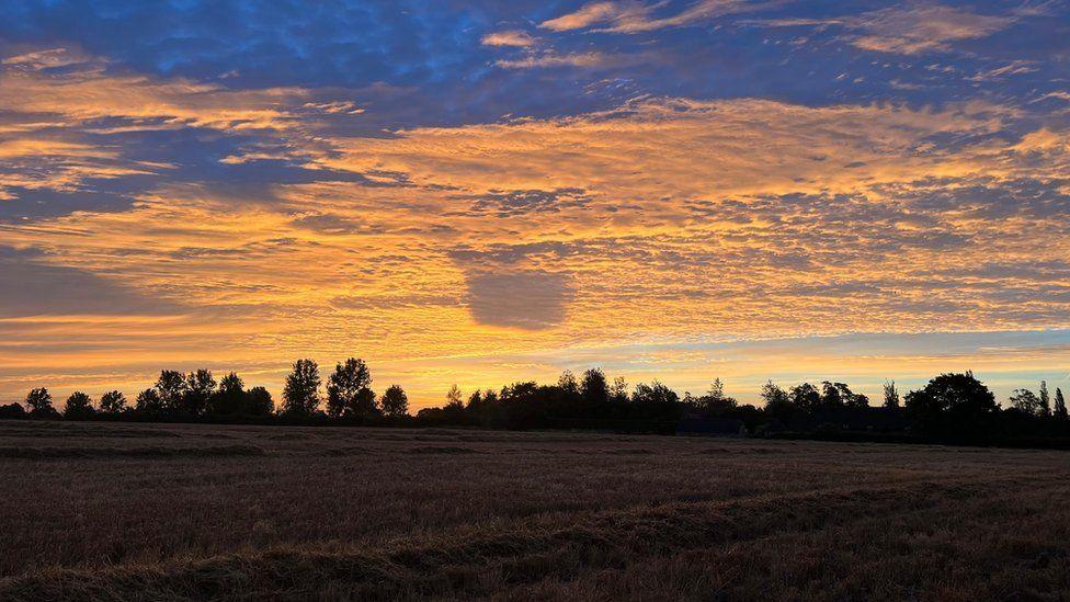 fields with a tree line in silhouette with orange clouds against a bright blue sky