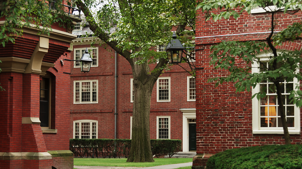 A close up of Harvard's famous red brick buildings featuring two trees standing in the university grounds.