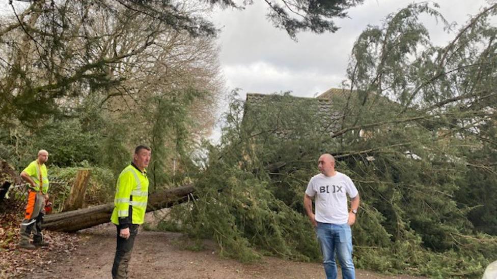 Tree blocking the road