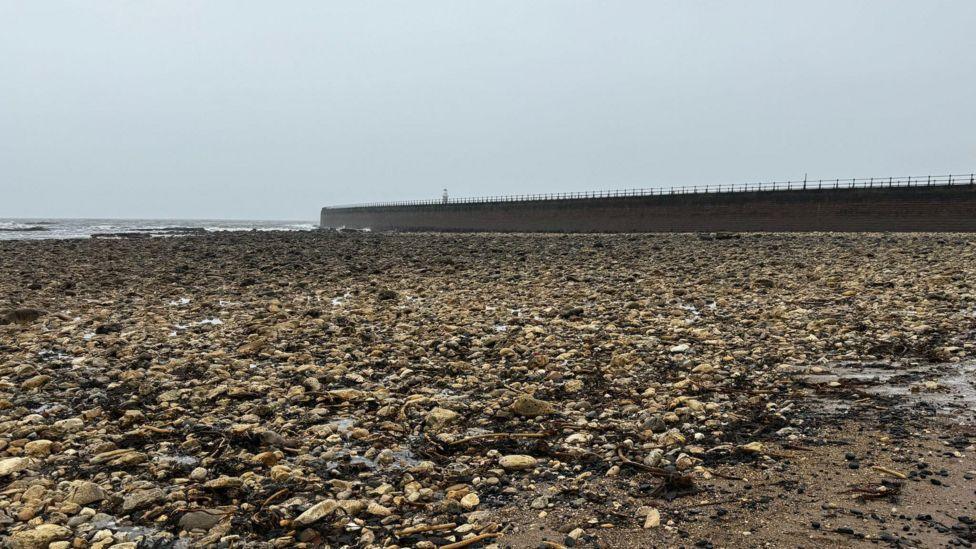 Roker Beach