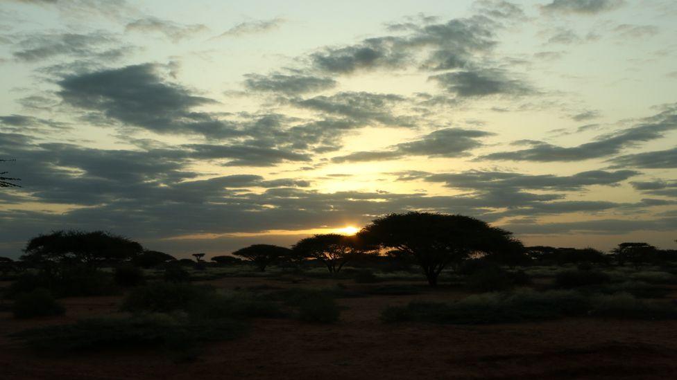 Sun setting in the desert