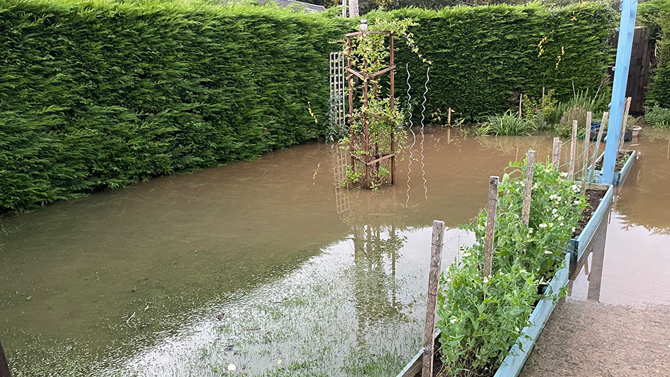 A garden covered by flood water surrounded by a high hedge. A climbing plant stands in the centre, with blue planters to the right