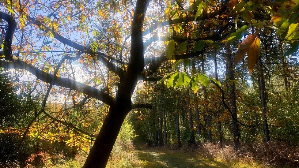 MONDAY - Bracknell Forest