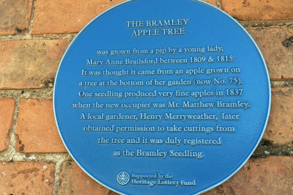 Plaque commemorating the Bramley apple tree