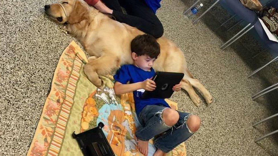 Boy and his new dog