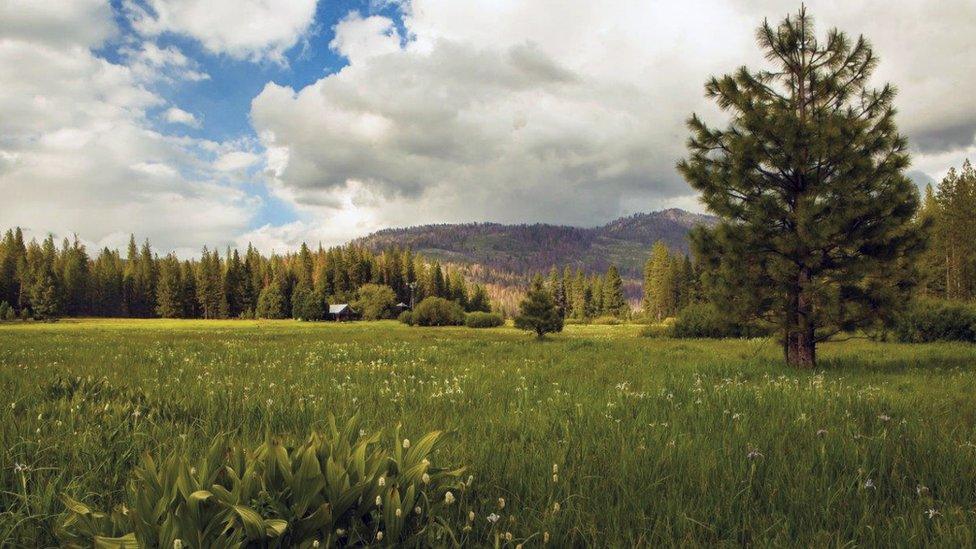 Ackerson Meadow, now part of Yosemite National Park, California