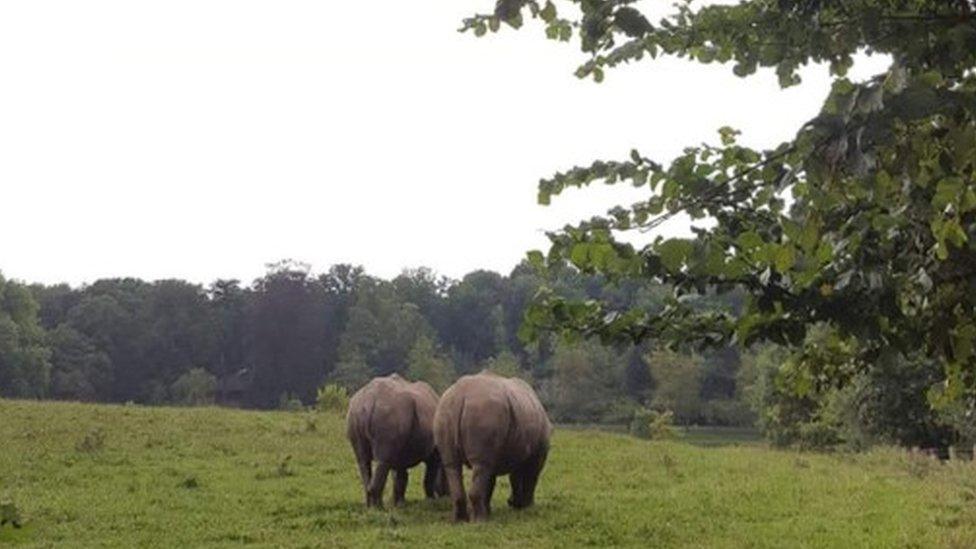 Sula and Kiri walk in the grounds