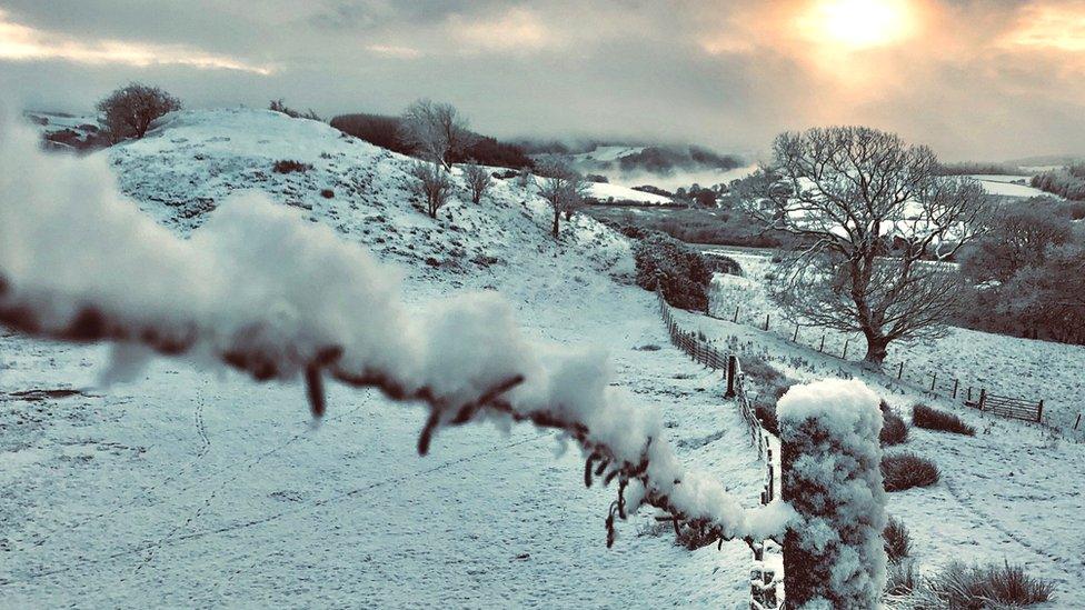 eira yng nghanolbarth Cymru