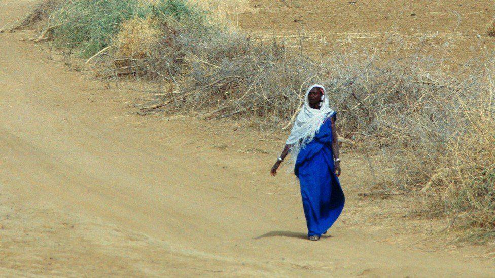 A woman wearing a blue sari and white head piece. She is walking along a dry sand path with dry scrub to her right.