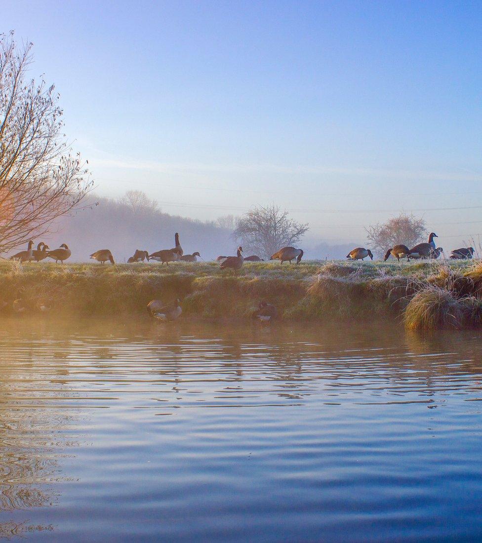 On the river near Northmoor Lock