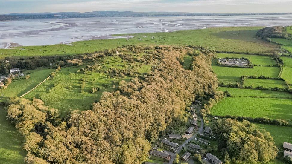 Drone shot of Kirkhead Caves and wood