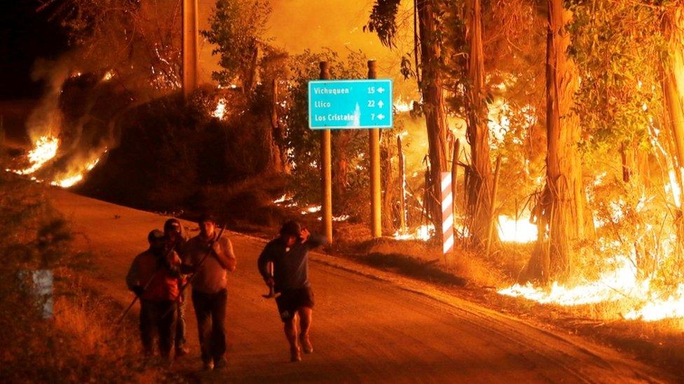 Fire is seen along a road in the town of Hualane during a big forest fire, on the outskirts of the Curico city