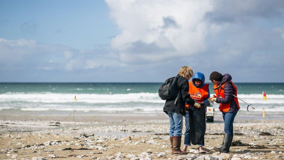 beach cleaners