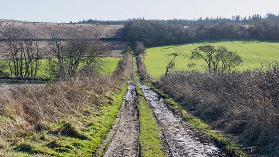 near St Martins, Black Isle