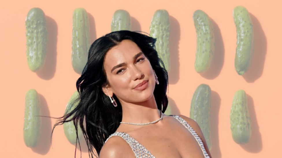 dua lipa and pickles