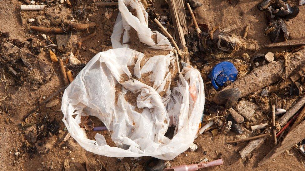 Plastic bags on beach