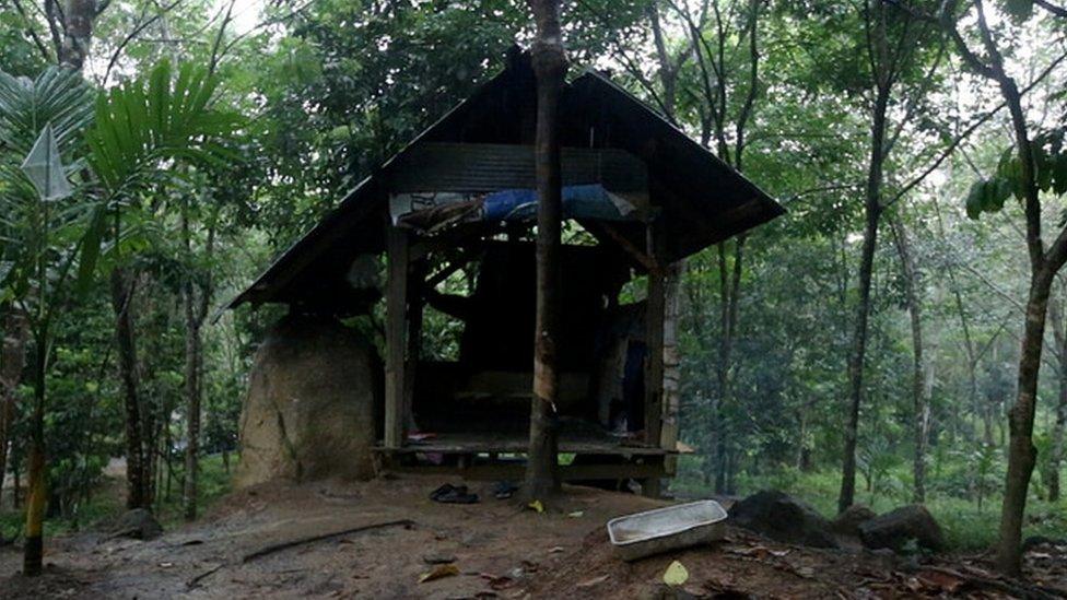 Picture of the wooden hut in a rubber plantation where Fadel and his friends take kratom.