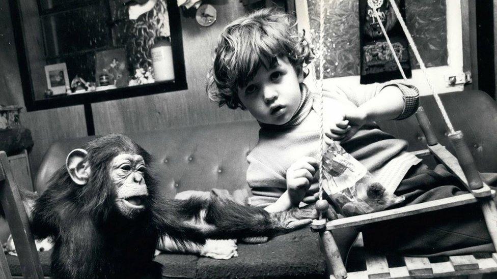 a 3-year-old Alan Clews and his pet chimp