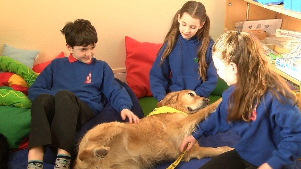 Dog and pupils at Crown Primary