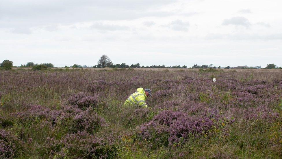 Planting at Winmarleigh Moss