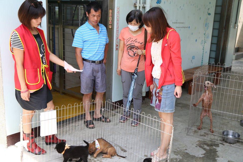 Shelter worker shows a family some dogs in their shelter