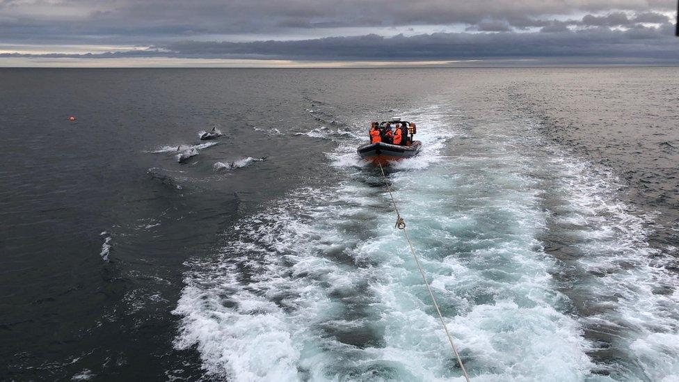 Lifeboat with dolphins