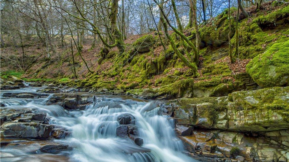 The Birks of Aberfeldy, near the Falls of Moness