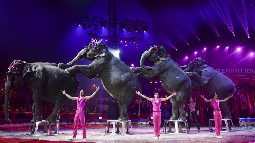 The-Gartner's-training-elephants-family-performs-during-the gala-of-the-43th-Monte-Carlo-International-Circus-Festival-in-Monaco