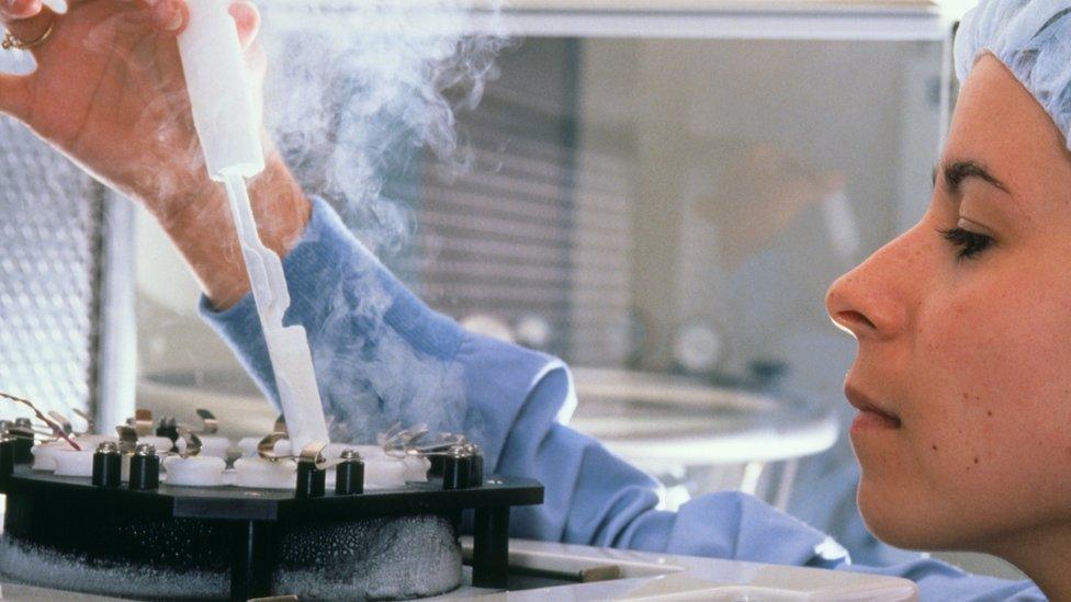 Technician in an IVF laboratory freezes sperm and eggs for storage