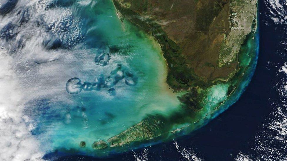 A cluster of cavum clouds over the Gulf of Mexico