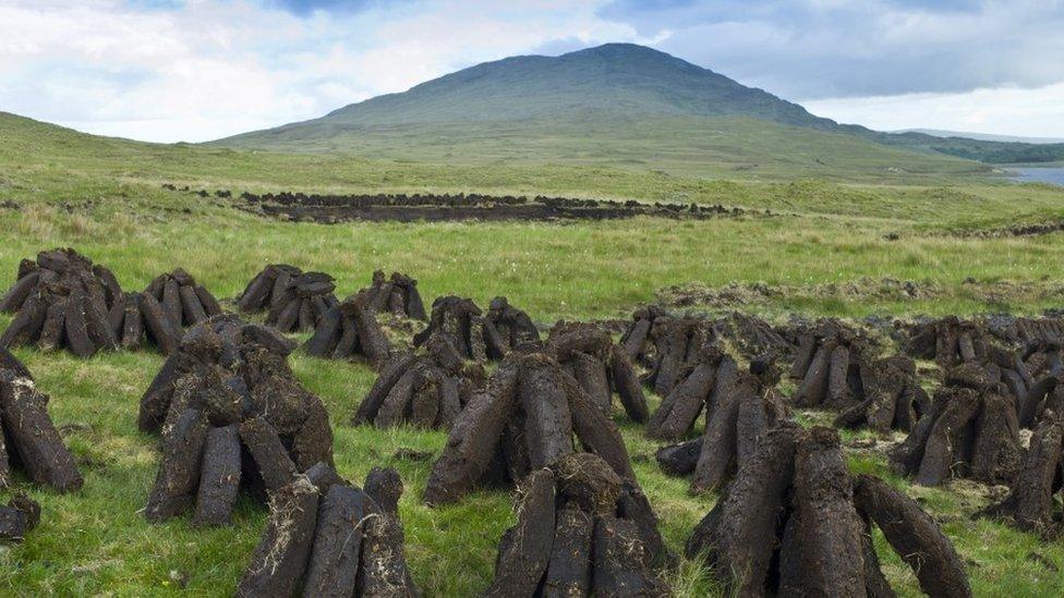 Peat